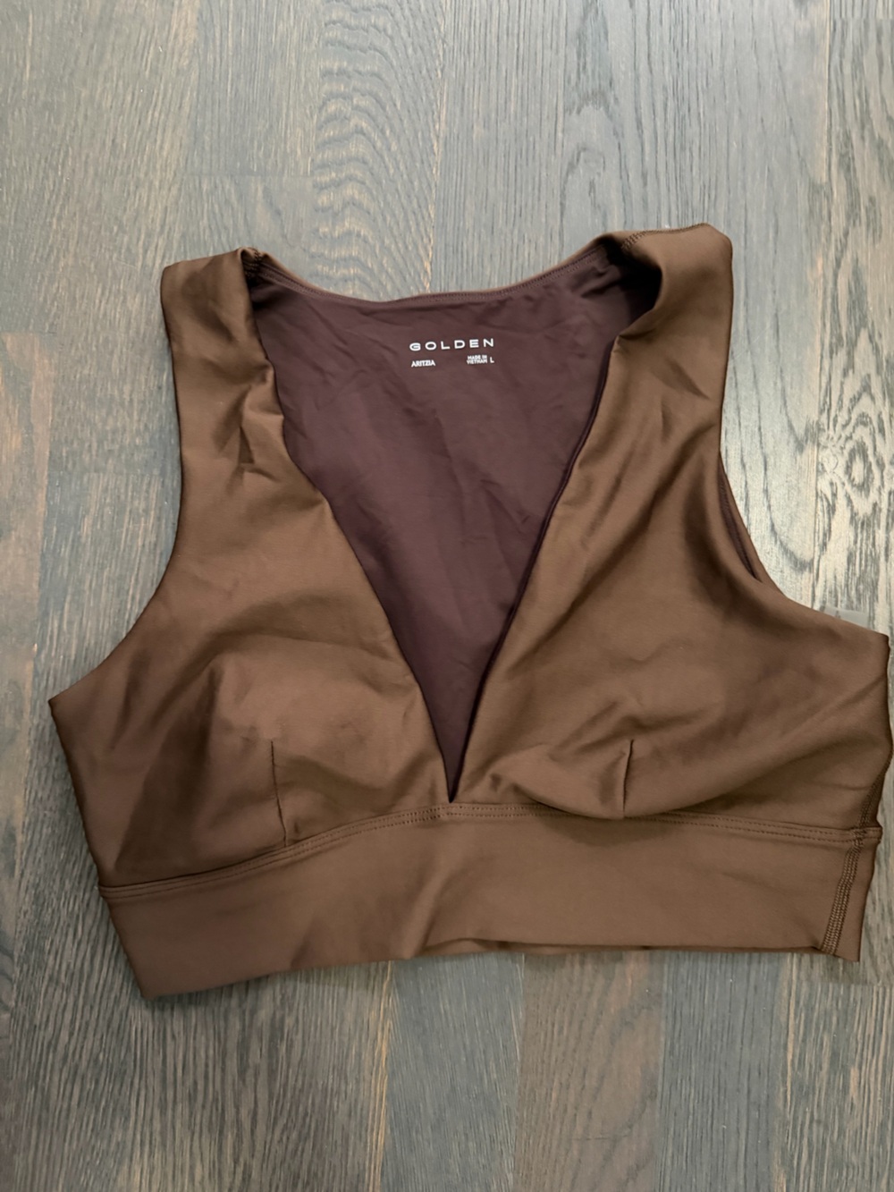 Aritzia GOLDEN Sleek Sports Bra